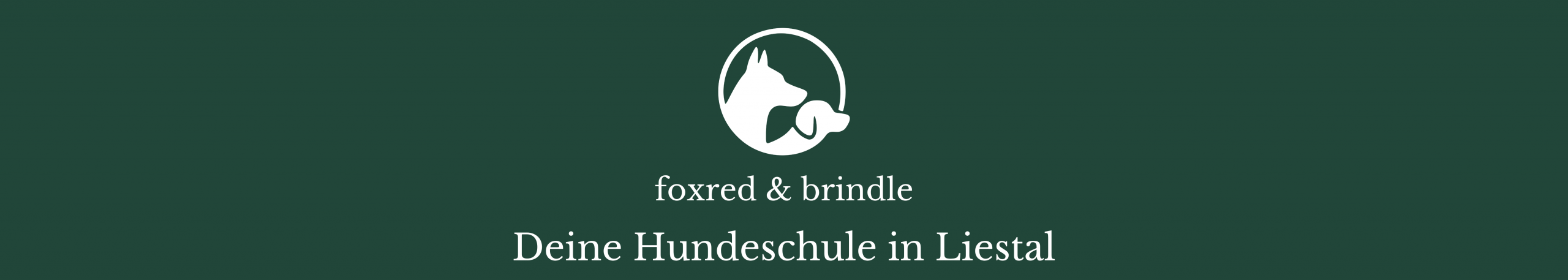 hundeschule-liestal-foxred-brindle-indoor-training.jpg