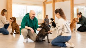 Hund gibt im Medical Training freiwillig die Pfote