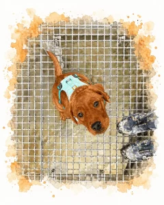 Aquarell-Illustration eines Welpen in einer Hundebox