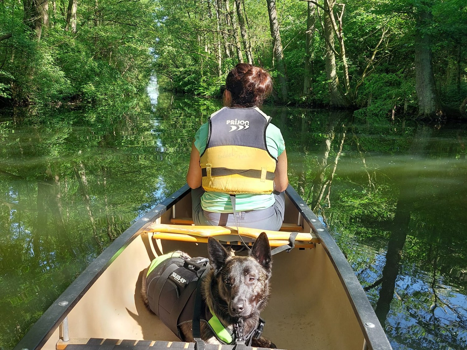 Chewie sitzt im Kanu auf einem bewaldeten Wasserkanal